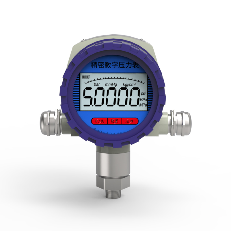 防爆數字壓力表